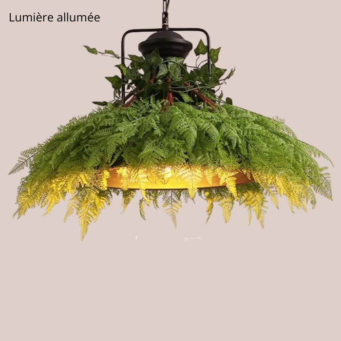 Suspension luminaire végétale avec plantes et lumière allumée, idéale pour une ambiance chaleureuse, naturelle et contemporaine.