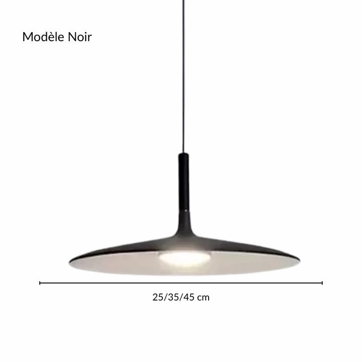 Fiche produit studio : suspension aile évasée minimaliste noire mate en métal peint sur fond clair.