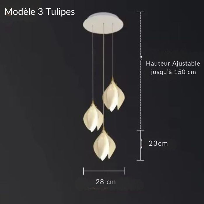 Dimensions du modèle 3 de la suspension tulipe avec trois lampes élégantes et hauteur ajustable jusqu'à 150 cm.